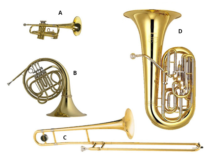 Brass instruments