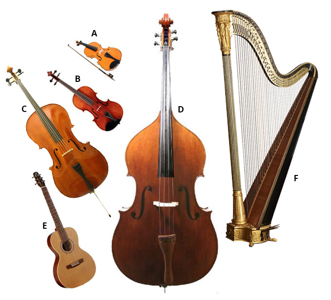 types of stringed instruments with pictures