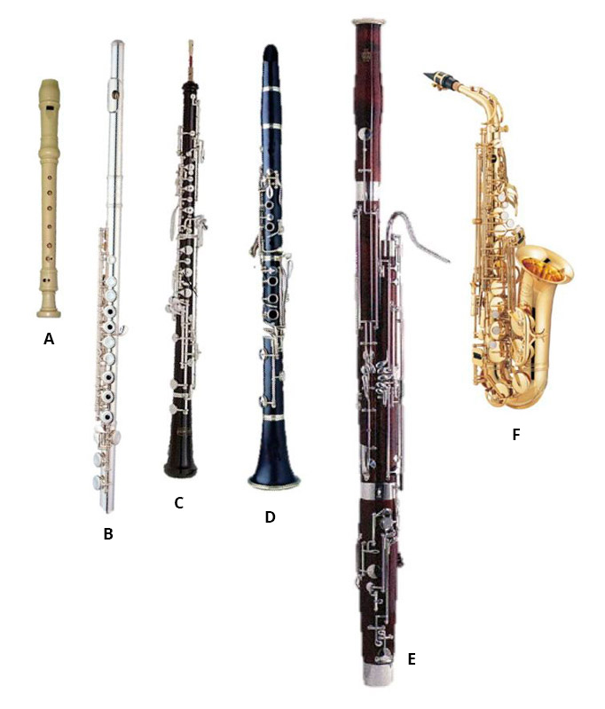 Woodwind instruments